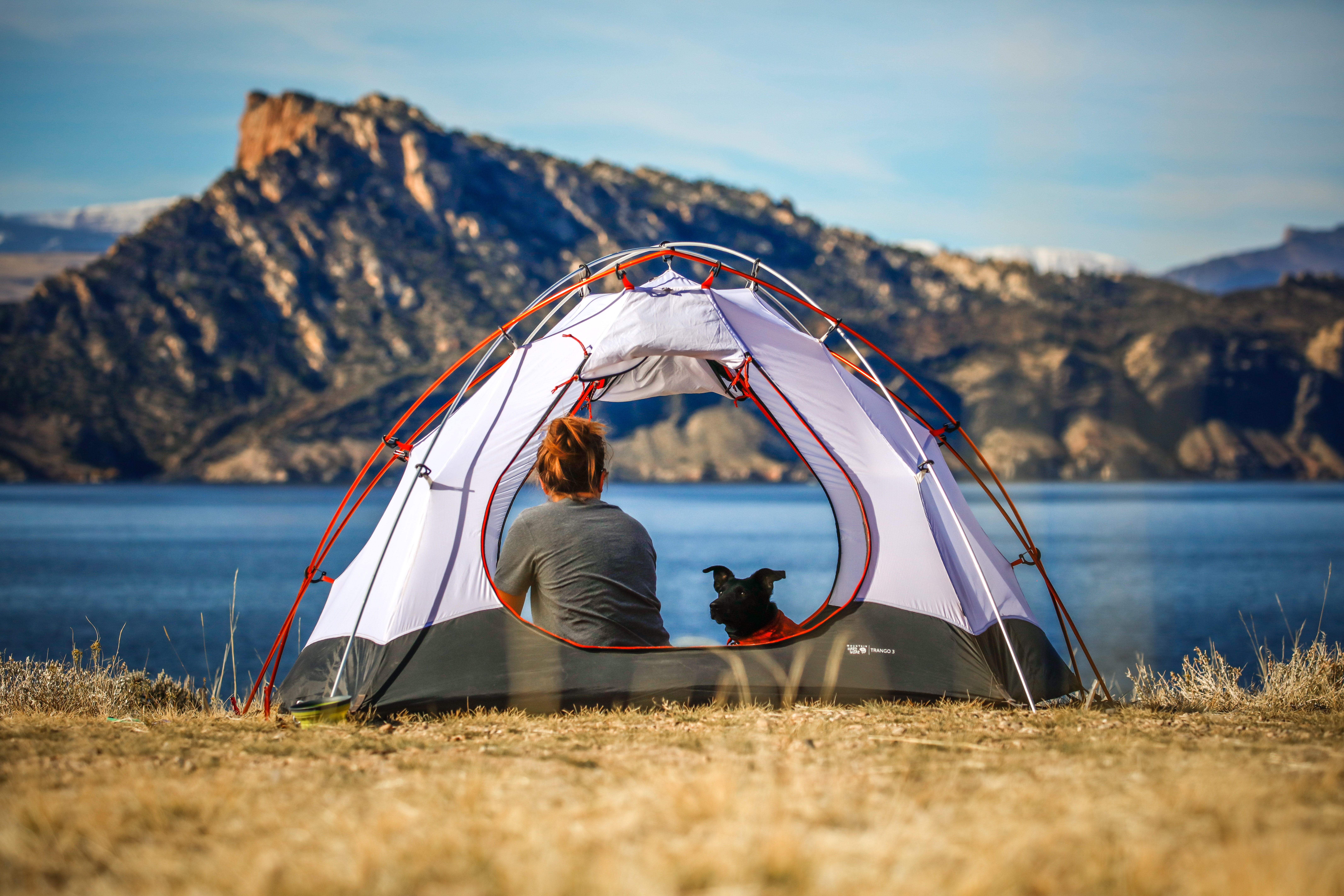 howtocampwithadog 1
